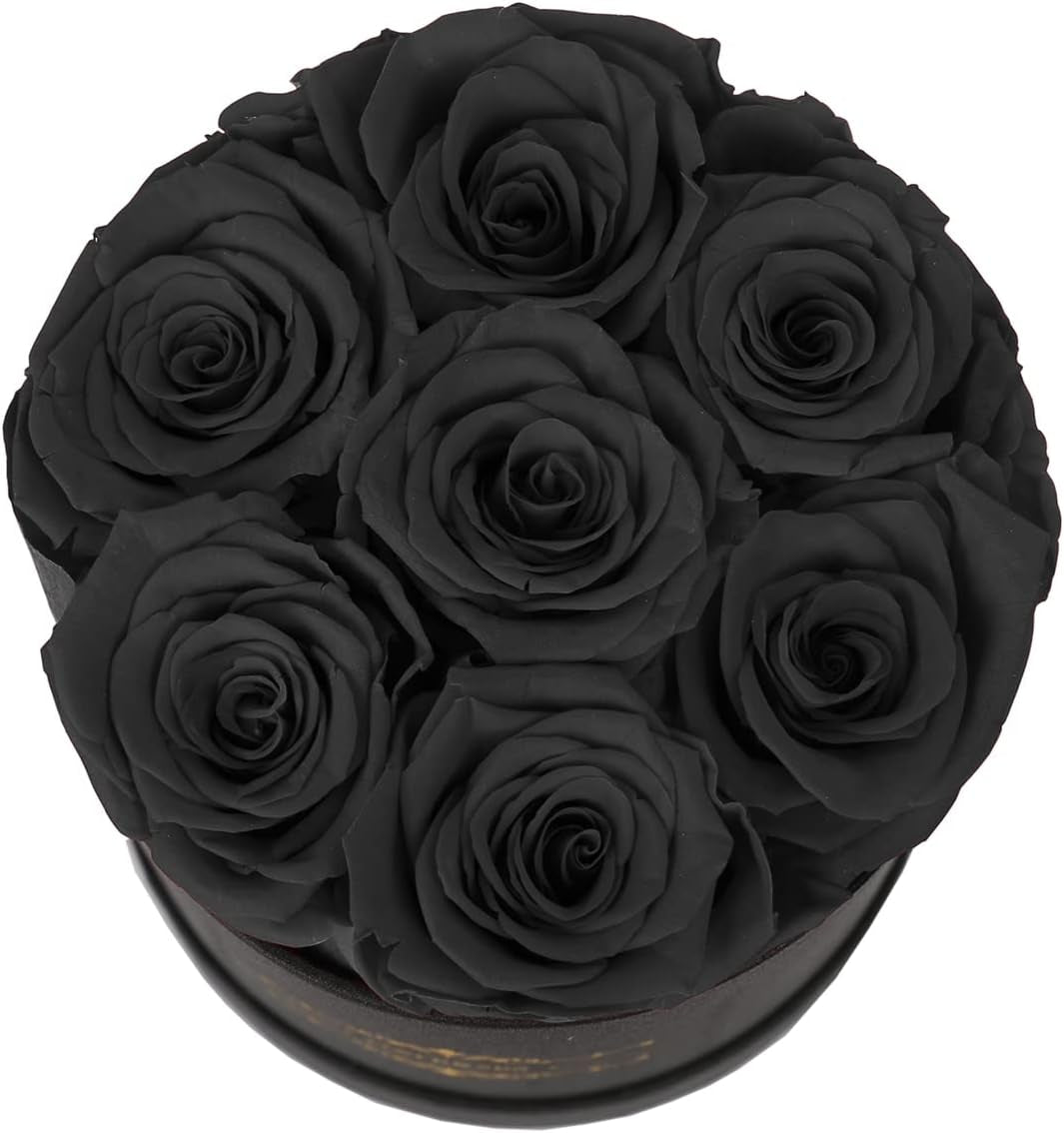 7 Piece Preserved Roses in a Box, Preserved Flowers for Birthday, Flower Gifts for Mothers Day (Black)